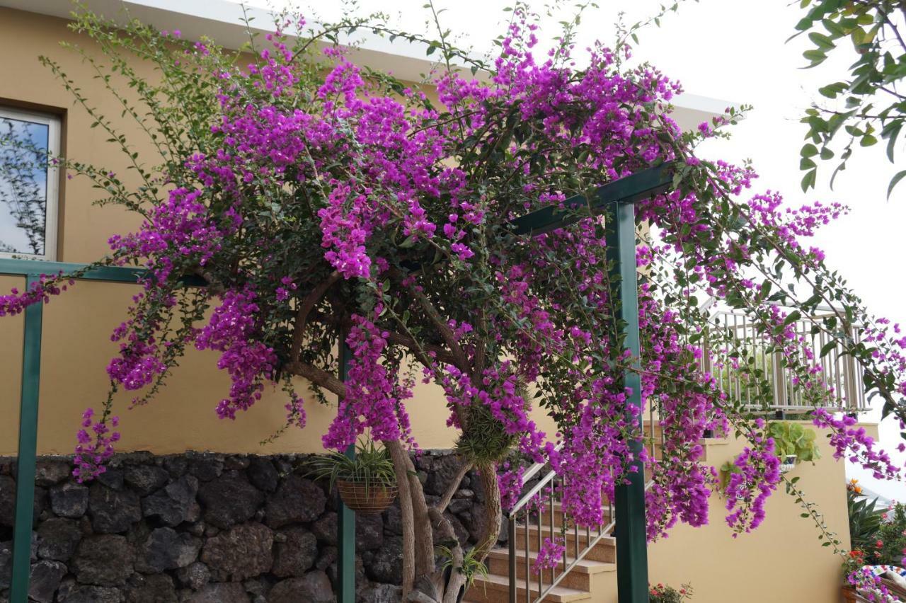 Villa Casa Aloe à El Paso Extérieur photo